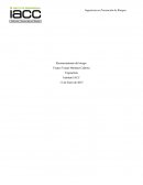 Reconocimiento del riesgo Ergonomía