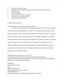 Pasos previos para la realizacion de una corona