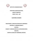 Auditoria de Imagen Corporativa