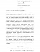 Pension alimenticia Inicial