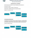 ORGANIZACIÓN DE LA EMPRESA, ORGANIGRAMA EMPRESARIAL