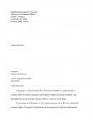 Historia de Carlo Magno