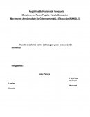 Huerto escolares como estrategias para la educación ambienta.