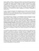 Las sociedades y cultura, tradición, costumbre...