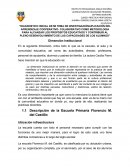 Diagnostico de mi práctica