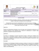 Las principales características de Six Sigma y la eficacia de la herramienta en los procesos de producción de las empresas para reducir la cantidad de desechos en cualquier etapa de la producción, especialmente de productos terminados