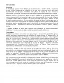 Ensayo Equidad de Genero1