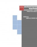 Ensayo del libro de Amelia