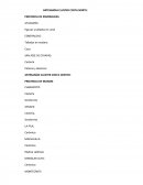 Cestería Y Sombreros ARTESANÍAS CLUSTER COSTA SUR