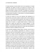 LA FUNCION DEL CONSUMO