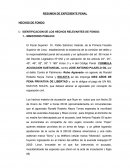 RESUMEN DE EXPEDIENTE PENAL