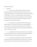 Control difuso administrativo.