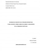 DELINEAR UN CONJUNTO DE ACTIVIDADES RECREATIVAS Y PARA OCUPAR EL TIEMPO LIBRE DE LOS NIÑOS Y ADOLECENTES DE LA COMUNIDAD CONTRI SUR