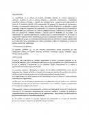 Programa de capacitacion profe Noemi