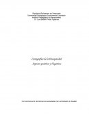 Cartografías de la Discapacidad Aspectos positivos y Negativos