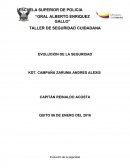 Ensayo Evolucion de seguridad