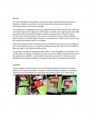 En nuestra actividad de inicio podemos decir que tuvo éxito ya que aparte de que los niños se divirtieron y estaban muy contentos y fue algo diferente para ellos ya que su maestra no acostumbra a ponerle este tipo de actividades