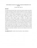 Arañas del género Loxosceles: una revisión a los aspectos más importantes de estos arácnidos.