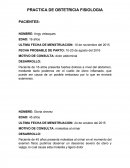 PRACTICA DE OBTETRICIA FISIOLOGIA