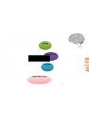 Que es la Neurofarmacologia