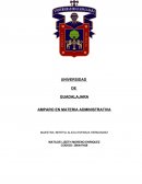 Amparo en materia administrativa.