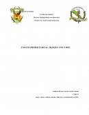 ENSAYO PRIMER PARCIAL: BLOQUE UNO Y DOS