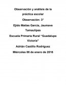 Observación y análisis de la práctica escolar.