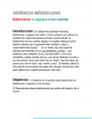 HERENCIA MENDELIANA Daltonismo o ceguera a los colores