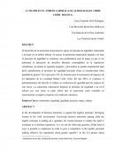 LA MUJER EN EL ÀMBITO LABORAL (LOCALIDAD RAFAEL URIBE URIBE- BOGOTA)