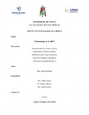 PROYECTO INTEGRADOR DE SABERES.