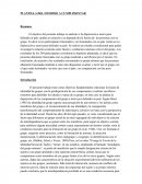 LA PLANTILLA DEL INFORME A CUMPLIMENTAR