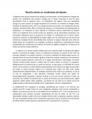 Muerte celular en condiciones de hipoxia