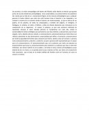 Ensayo: antropologia