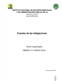 UN GRAN ENSAYO SOBRE OBLIGACIONES DERECHO CIVIL II. Página 1
