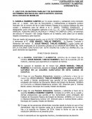 DEMANDA GUARDA CUSTODIA PENSION ALIMENTICIA
