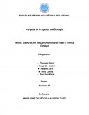 Tema: Elaboración de Desodorante en base a Urtica