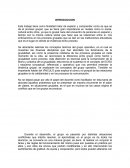 El proceso grupal itroduccion