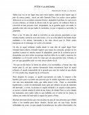 Ensayo: Peter y la anciana