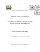 CARACTERÍSTICAS PRINCIPALES DE UN CENTRO DE DESARROLLO INFANTIL Y UNA ESCUELA DE EDUCACIÓN BÁSICA