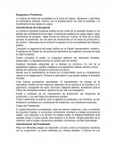 El manifiesto al partido comunista