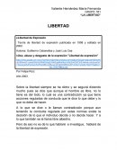 Teoría de libertad de expresión