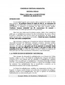 RESEÑA DIOS AMA A LAS MULTITUDES