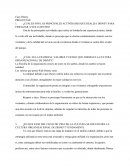 Disney y su Cultura Organizacional