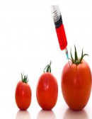 Alimentos transgénicos: Características, Pros y Contras e Impacto Social