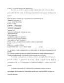 Lixiviacion de minerales