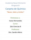 Bases, Sales y Acidos