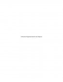 Estructura Organizacional de una Empresa.