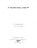 ANALISIS DEL COMPORTAMIENTO DE LA INFORMALIDAD Y DESIGUALDAD EN NORTE DE SANTANDER.