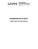 INGENIERIA DE PLANTA - ANALISIS SITUACIONAL