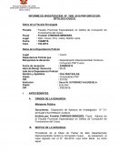 Informe policial de investigacion